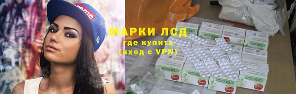 ПСИЛОЦИБИНОВЫЕ ГРИБЫ Верхний Тагил