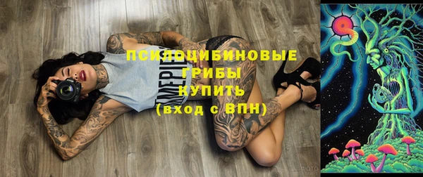 спайс Верея