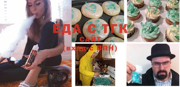 индика Богородицк