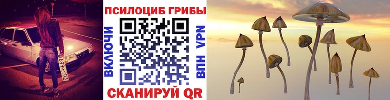 Псилоцибиновые грибы GOLDEN TEACHER  Севастополь 