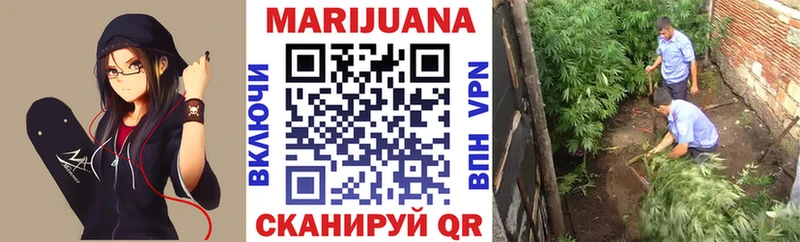 где найти наркотики  Севастополь  Конопля White Widow 